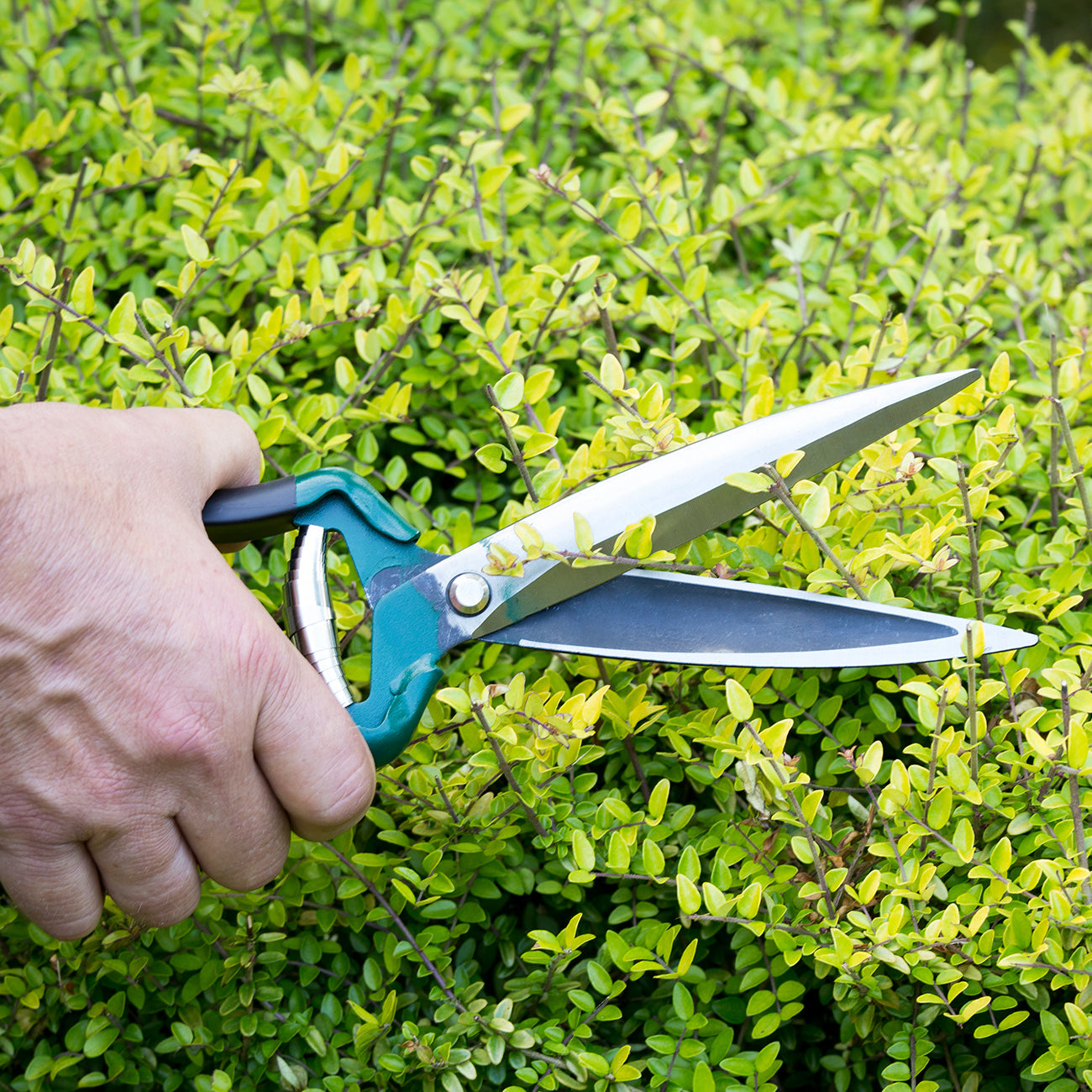 Single-Handed Shrub Shear with Long Blades Green Steel Handle
