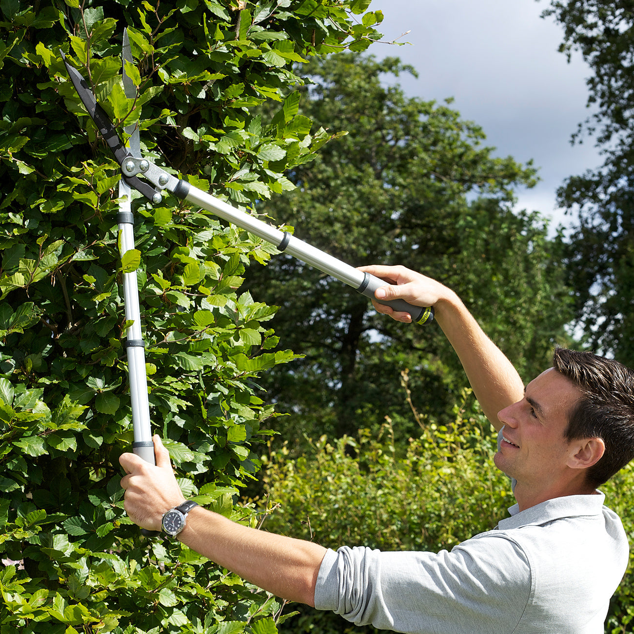 Telescopic Wavy Edged Hedge Shear with Compound Action Blades