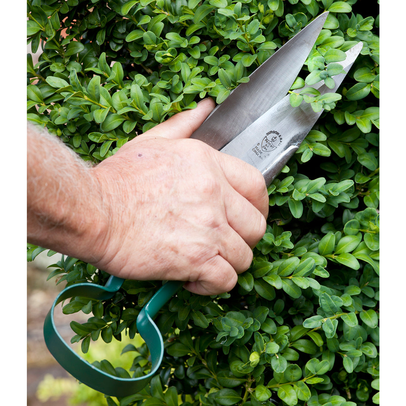 Large Topiary Trimming Shears with Angled Blades Racing Green Handles