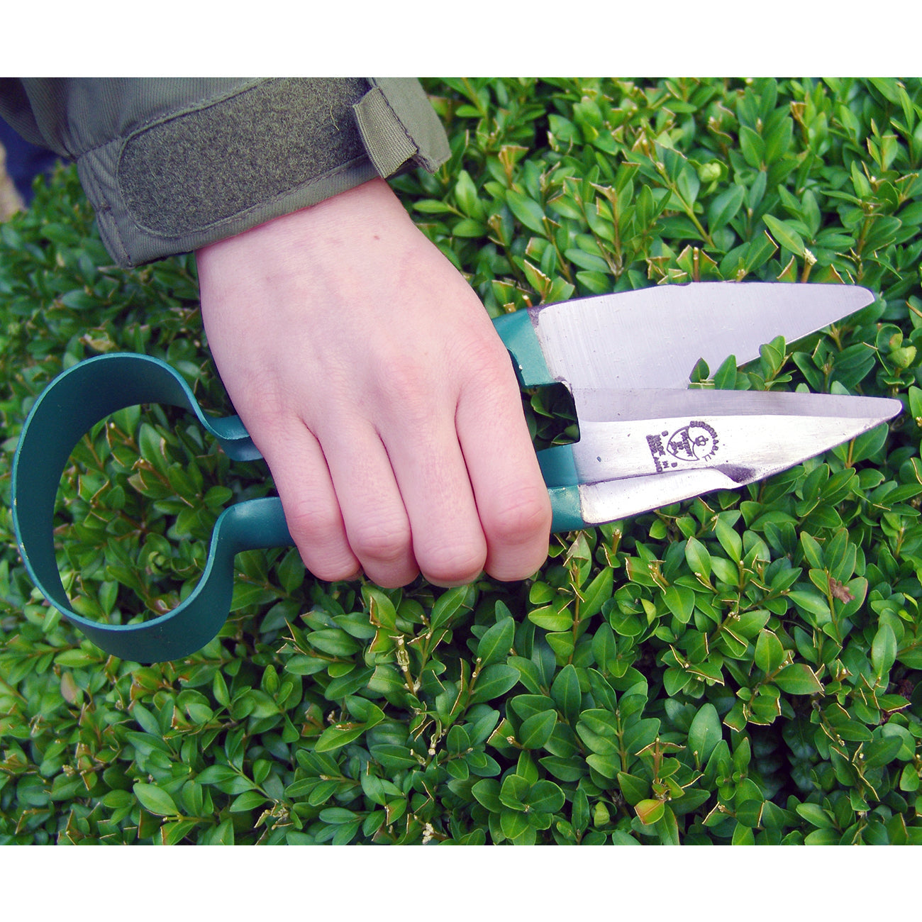 Small Topiary Trimming Shears with Racing Green Handles for Precision Gardening